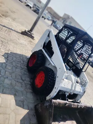 Bobcat for Sale