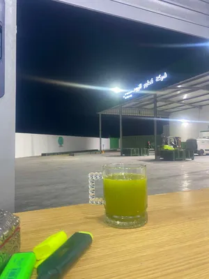 يوجد زيت زيتون بلدي بعل العام والسنه اسعار رمزيه