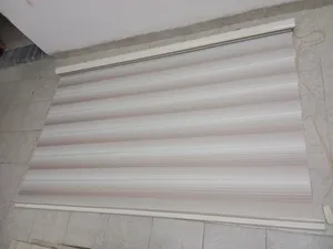 برداية زيبرا