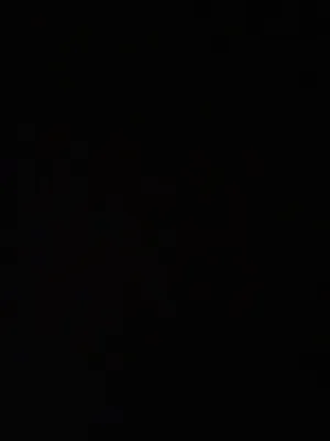 ابحث من سكن في المنقف
