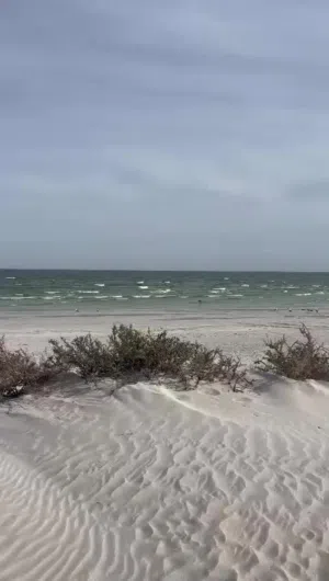 ارض اول خط البحر في خلوف، مكان جميل جدا وحي راقي