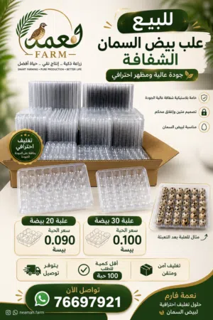 علب بيض السمان