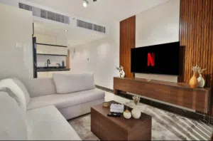 Furnished Daily in Cairo Fifth Settlement