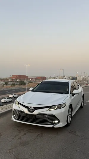 خليجي المستخدم الثاني بيج2019