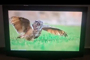 samsung tv