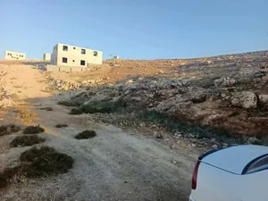 قطعة ارض في جريبا شفا بدران