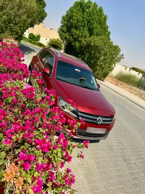 Used Volkswagen Tiguan in Sharjah