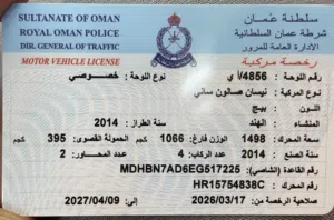 نيسان صني 2014