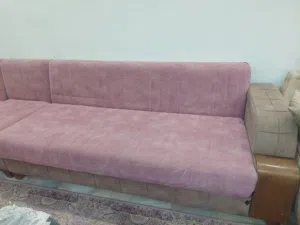 تخم كورنر تركي