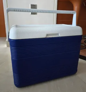 Cosmoplast 30 Litre Cooler Box in Blue and White in Excellent Condition