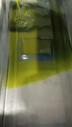 زيت زيتون من زيتون المزار الشمالي