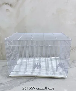 مستلزمات طيور