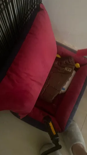 سرير و بيت حيوانات حديد لسرعه البيع