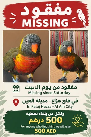 ببغاء مفقود bird missing