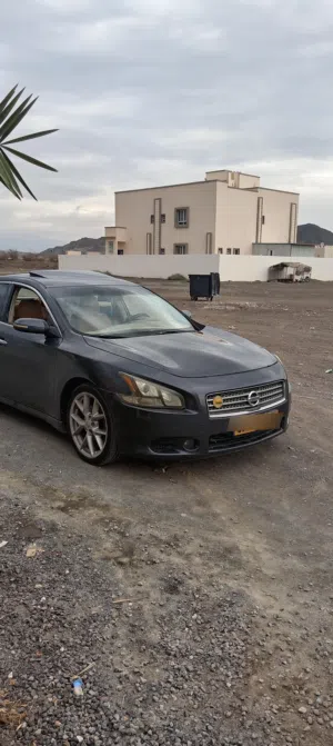 Used Nissan Maxima in Al Batinah