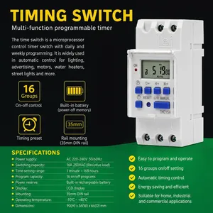 Digital Timer 30A