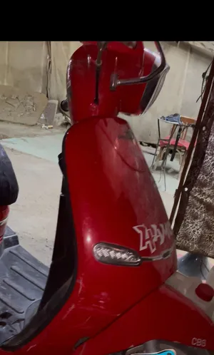 مرينو كلاسيك 219للبيع