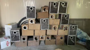 صندوق تفريخ