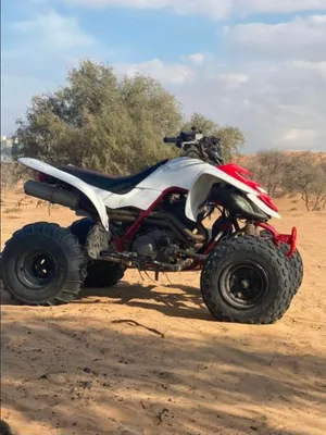 دباب رابتر 660 موديل 2005 نظيف جدا