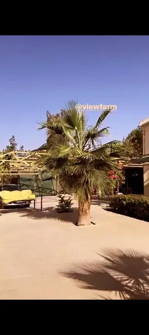 مزرعه المطل اللايجار اليومي و المناسبات و الحفلات