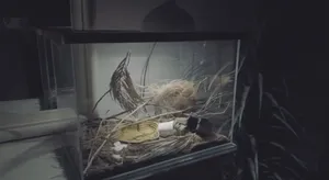 حوض حيوانات تفصال - exotic pet tank