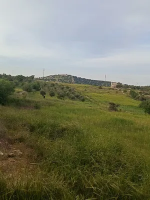 ارض للبيع في عجلون للاستثمار
