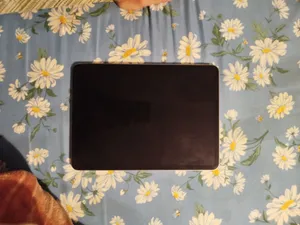 ipad pro m2