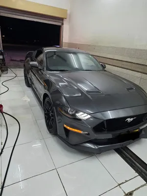 موستانج 2018 GT 5.0 بروفورمنس بكج