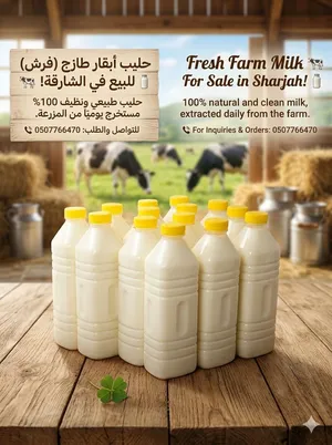 حليب أبقار طازج (فرش) للبيع في الشارقة! حليب طبيعي ونظيف 100% مستخرج يومياً من المزرعة.  للتواصل و