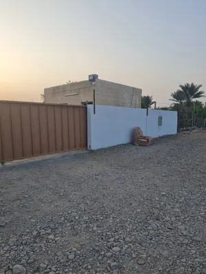 ارض زراعية فضاء للايجار مساحتها 1000م
