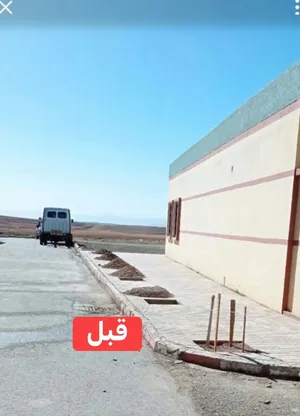جميع انواع الاشجار المثمرة والزينه