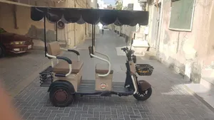 3 wheel e scooter