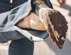 خدمة تنظيف الاحذية الحريمي بكل انواعها + توصيل مجاني Cleaning dirty shoes service