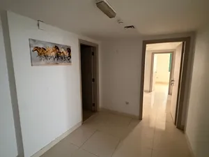 Spacious 3BR  Chiller Free  Prime Nakheel Location
