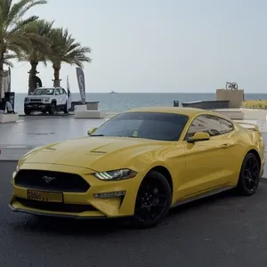 2018 فورد مستانج ايكوبوست برفورمنس بكج 2018 Ford mustang ecoboost performance