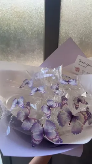 باقة فراشات مضيئة