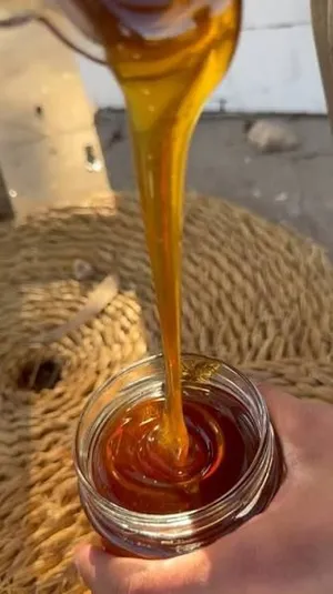 عسل طبيعي 100%