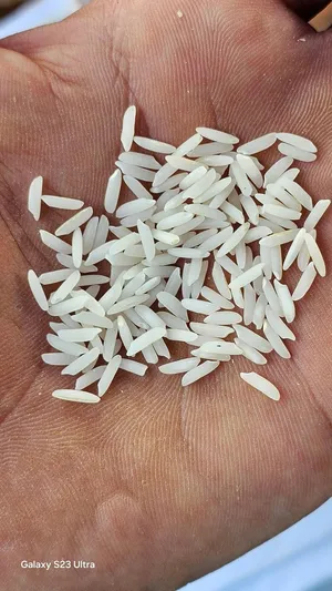 Persian rice