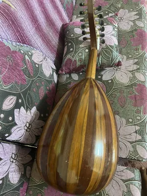 عود للبيع سوري