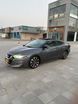 Maxima SR رقم واحد خليجي