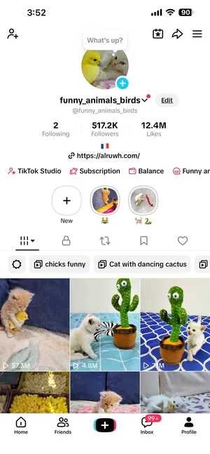 Tiktok beta France تيك توك بيتا