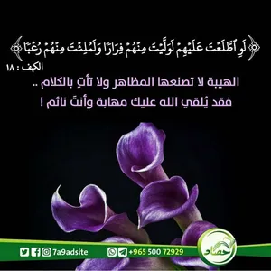 ابحث عن غرفة داخل شقة للايجار قريب من الاحمدي  الايجار 150 دينار