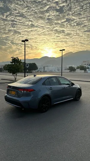 corolla 2020