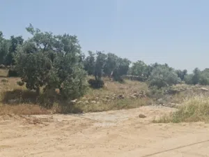 ارض للبيع في اجمل مناطق عمان [بدر الجديده] 650م حوض الكاشف
