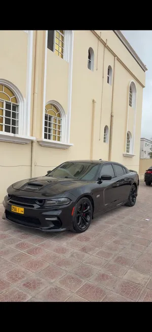 Used Dodge Charger in Dhofar