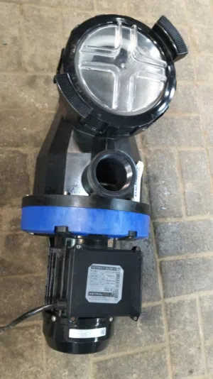 Sweming pool pump