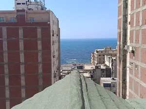 شقة للبيع 270 متر في سبورتنج ( شارع طيبه)