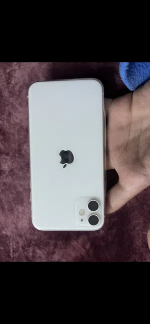 ايفون 11 عادي