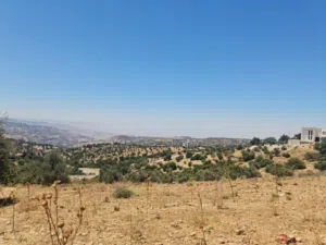 ارض للبيع 500 م في اجمل مناطق المملكه بدر الجديده (الغروس الغربي) على شارعين