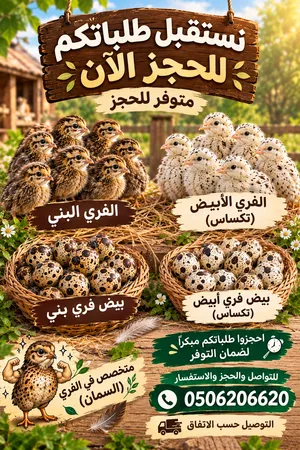 متخصص في الفري ( السمان)